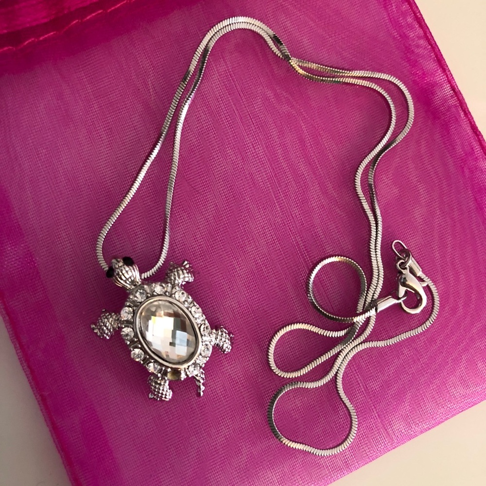 Turtle necklace